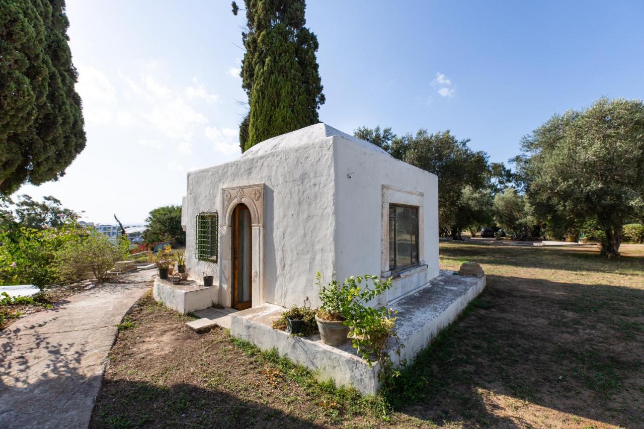 Bed and Breakfast Lella Zohra, Studio Avec Piscine A Sidi Bou Ali Exterior foto