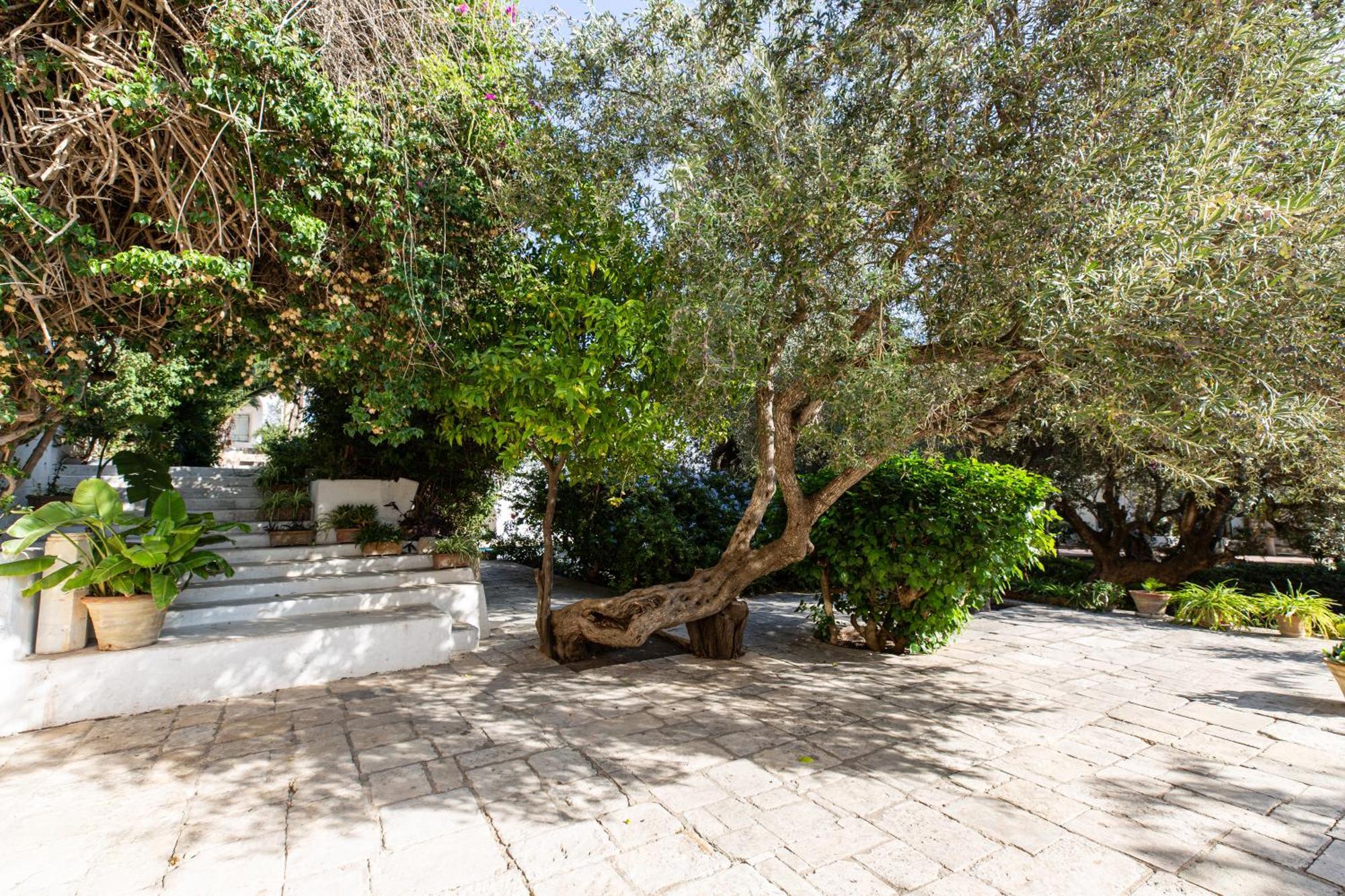 Bed and Breakfast Lella Zohra, Studio Avec Piscine A Sidi Bou Ali Exterior foto