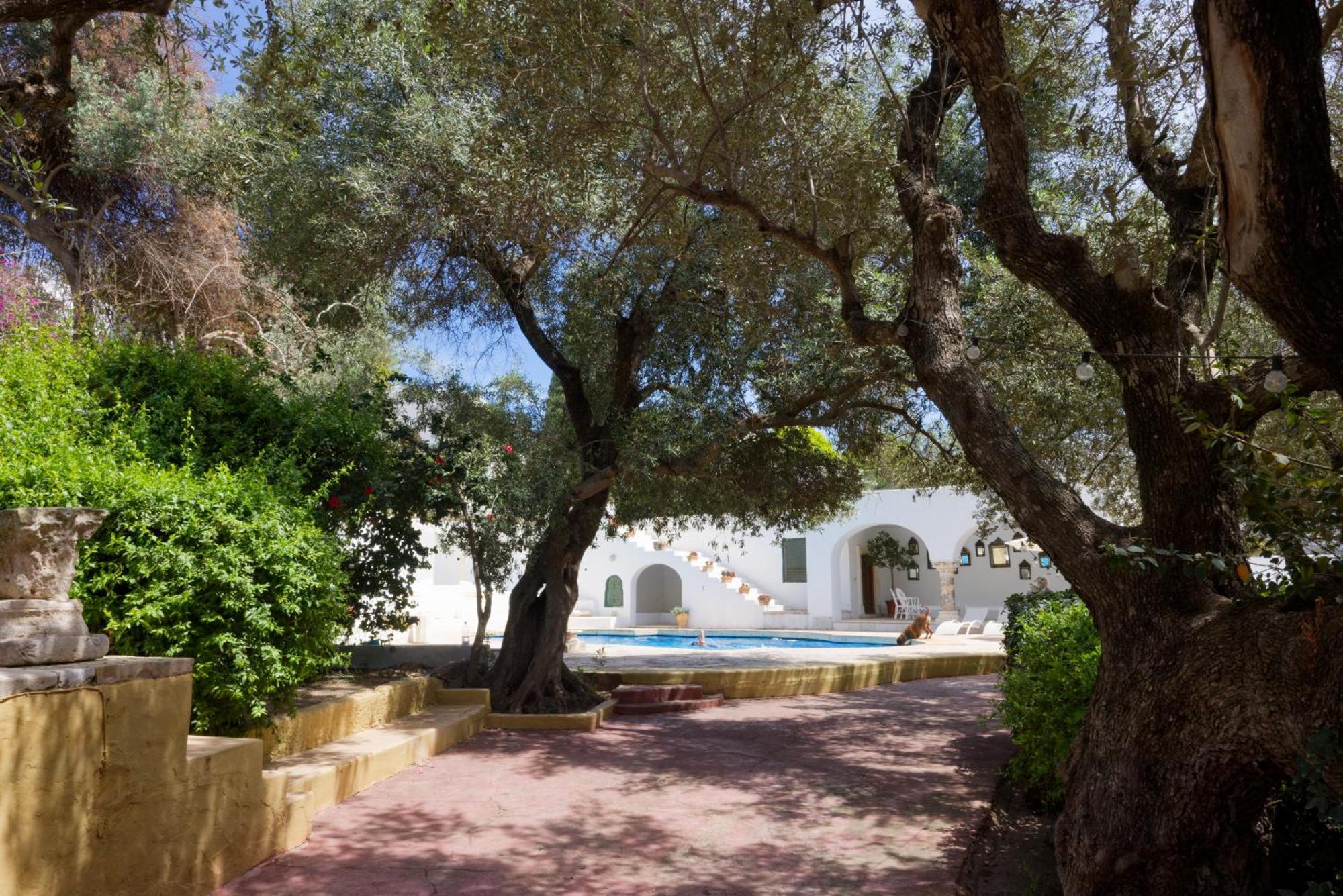 Bed and Breakfast Lella Zohra, Studio Avec Piscine A Sidi Bou Ali Exterior foto